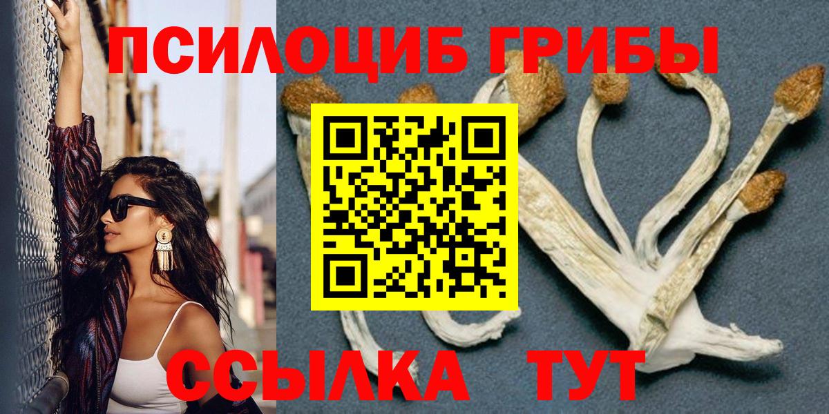 Галлюциногенные грибы GOLDEN TEACHER Хабаровск