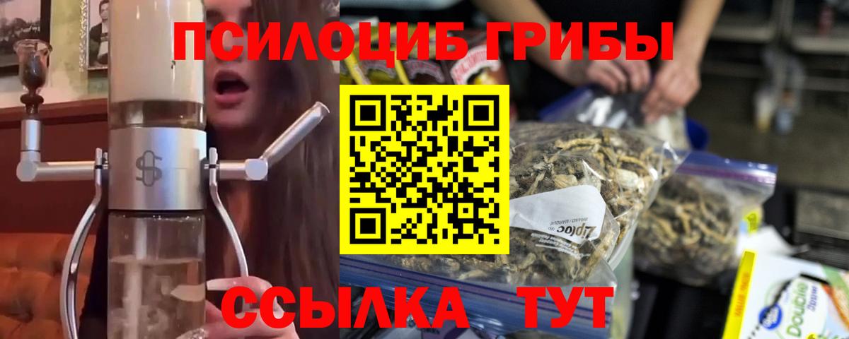 Псилоцибиновые грибы Psilocybe  Псилоцибиновые грибы Psilocybe  Вход с VPN  Хабаровск 